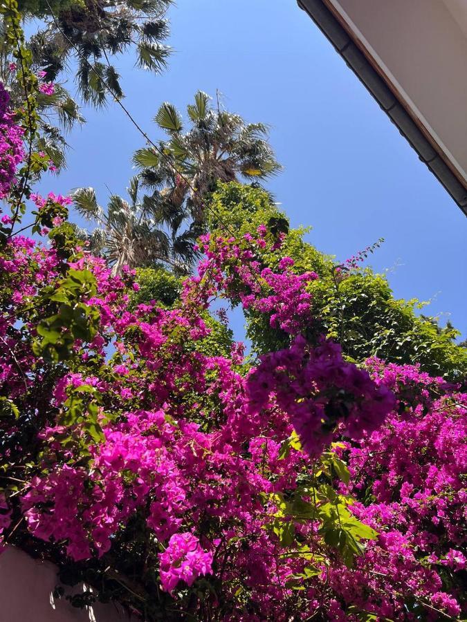Palma Rosa Hotel Çamyuva Exteriér fotografie